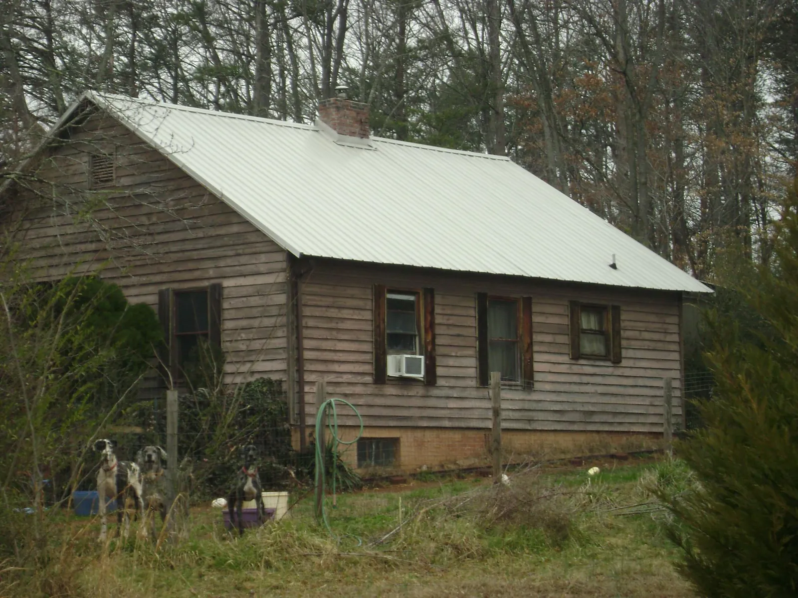 White metal roof on an old wood sided farmhouse, from a Metal Roof Installation job in Hayden